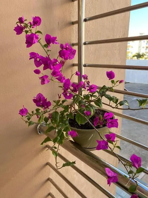 Apartament Reposo Tranquilidad Cerca Del Corazon De Santiago Santiago De Los Caballeros
